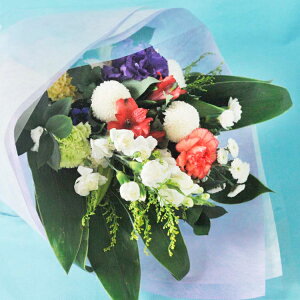    mԂg{̂܂  LTCY  @ r 摜zM   ybg ԑ AW ~ V~ ފ  bZ[WJ[ht D  Nꌇ