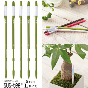 Zbgłw LTCY 5{Zbg O[ TXeB[ Apv x yzlR|X () ̃^C~OApv 7`ȏɂLTCY߂