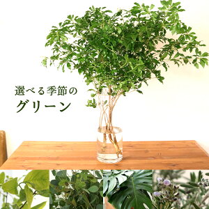 yzG߂̑Iׂfރ[J10{ tFCWA6{ Xm[{[3{ Xe10{ [Y}[6{ywszA  } kC//l/B//ւ̂͂s