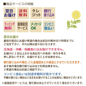サービス