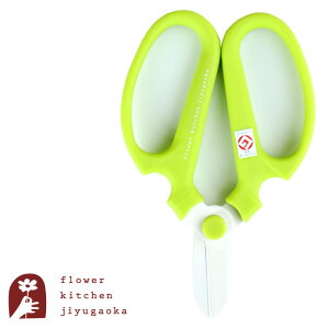 Ԃ͂ CgO[  lR|X܂͂䂤pPbg y⌹ nhNG[V F170z170mm F-170 FlowerKitchen̉|EԃnT~nP[Xt  ObhfUC y