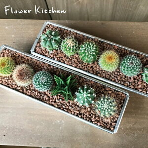 Iׂ鍻J[ A~P[X T{e2Zbg 񂹐Aw  or  x T{e A Mtg ϗtA a j hV̓ Zbg CeA FKTK 䂤pbNo