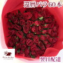 【あす楽】還暦祝い 赤バラ60本 花束 フラワーギフト プレゼント バラ 薔薇還暦 花 御祝 お祝い 誕生日 記念日 お祝い…