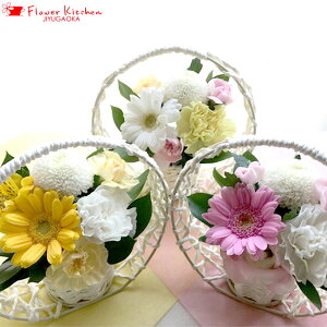 ybg֑邨STCY ãybgyzybgp 摜zMOKyyΉz ybg ybgX ybg{      myHLS_DUzĎDy