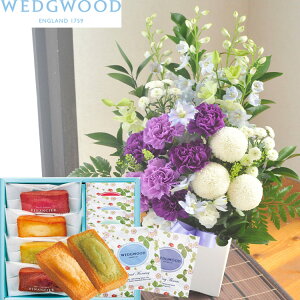 [_XggAWgMTCY+yEFbWEbhzeB[obOZbg WEDGWOOD yzyԁzy摜zMz y@  ~ ފ r @ 