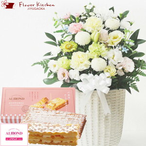 yyzԂƃXC[c̃ZbgmԂg{̂܂ ԁuAWv {Z{؃A}hu`[Y~tB[vAWg bZ[WJ[h ԂƃXC[