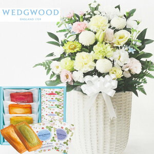 yyzԂƃXC[c̃ZbgmԂg{̂܂ ԁuAWv {tBiVFuEFbWEbhveB[obOZbg WEDGWOOD(EFbWEbh)AW