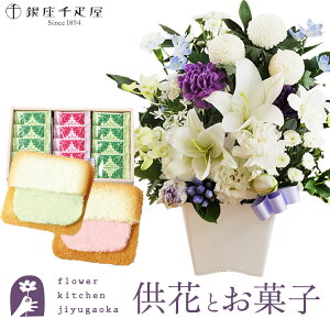 ԂƃXC[c̃ZbgmԂg ̂AWMTCY+yDz t[cO  y@  ~ ފ r @   @v FKAA