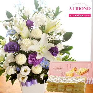 yyzԂƃXC[c̃ZbgmԂg{̂܂  LTCY@+Z{؃A}hu`[Y~tB[vAWg bZ[WJ[h ԂƃXC[c FKAA