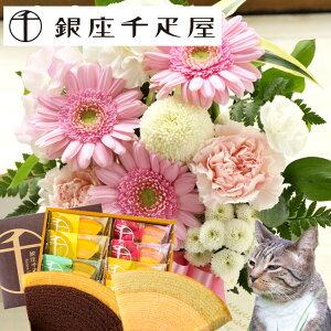 yyzybg֑邨AWƃXC[cyybgpzybgAW+DN[w8Zbg ybg      m ykC