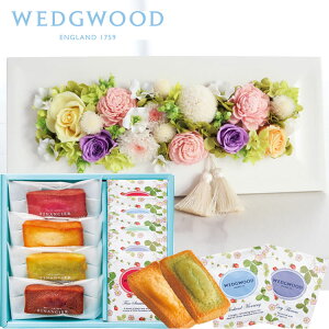 yzt[vU(W~bNX)+uEFbWEbhveB[obOZbg WEDGWOOD(EFbWEbh) yz͂ȂMtg    Mtg yΉ  m