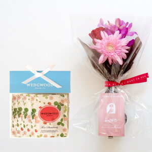 yyzyԂƃXC[c̃Mtgz jIׂ~ju[PƃEFbWEbhg4 yv`Mtg a LO j XC[c Zbg AW a FKAASW