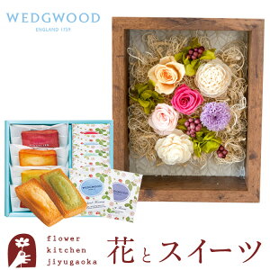 Mtg ԂƃXC[cZbg t[t[uVv+yEFbWEbhzeB[obOZbg WEDGWOODa j j v[g vU LO  uU[ht[ 