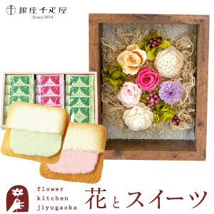 ԂƃXC[c̃Zbg t[t[uVv+yDzt[cO OhV@v[g Mtg ͂Ȃ a j LO FKTPHSW