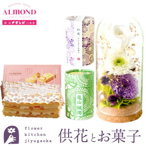 yzvU[uht[uÍv waVx[\NZbg +uZ{؃A}hv`[Y~tB[MtgZbg  ͂Ȃ    Mtg y