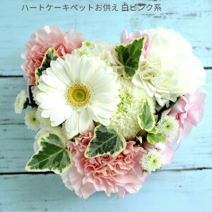 yyzyybgpzybĝ n[gAWgyzt[    ybg AWg/bZ[WJ[ht FKAA