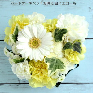 yyzyybgpzybĝ n[gAWgyzt[    ybg AWg/bZ[WJ[ht FKAA