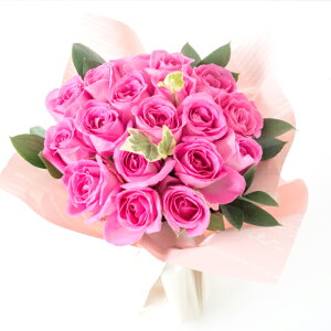 ԑ av[g  o18{ X^fBOu[P ỏ a v[g  FB t[ Mtg җj  ސEj ԑ N ʉ  j zCgf[ 