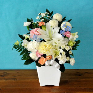 yyzy ԁz mԂg ̂AWMTCY  t[AWg   摜zM  @  ybg ԑ AW ~ V~ ފ  