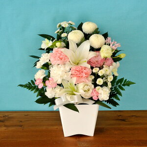 yyzy ԁz mԂg ̂AWMTCY  t[AWg   摜zM  @  ybg ԑ AW ~ V~ ފ  