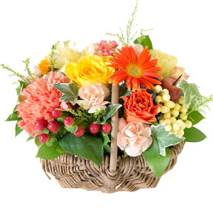 H H̃t[oXPbg  oXPbgAW yzK[x ǂ } o  t[ abZ[WJ[ht LO j v[g hV̓ ykC