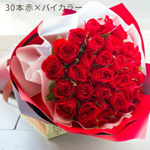 yԑzav[g  ỏԑ 30{j t[Mtg v[g o KN ̓a LO j j oYj  ԑ摜zMΏۊO yz o