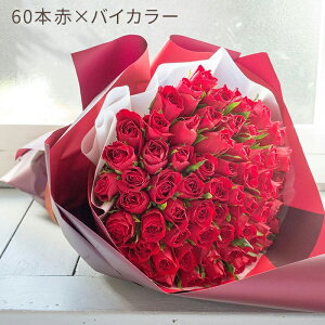 yԑzҗj o 60{ ԑ IׂJ[ y t[Mtg v[g o KN җ  j j a LO j  j j Mtg 摜zMΏۊO 