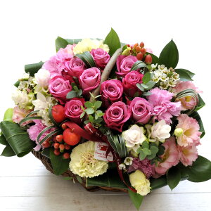 yõK[foXPbgAWgyzt[Mtg//LO/a/j/v[gyy_jcƁzbZ[WJ[ht//j t