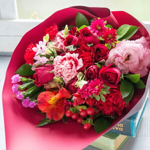 av[g  10{oŃAWgorõ~bNXԑyz o ԑ u[P  Mtg t[ LO a bZ[WJ[ht LO j v[