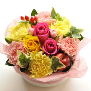 yyt[P[Lzt[P[LorJbvAWyԁzyzj[A Lh̖T[rX { Mtg LO t[ o a oYj