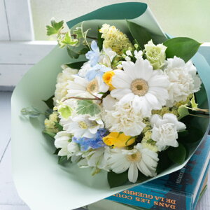 av[g  K[x~bNXԑyzyyzoyԑEu[Pz Mtg  t[ LO a bZ[WJ[ht LO j v[g 