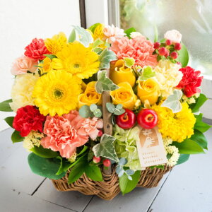 yK[xoXPbg AWgyzyzt[Mtg//LO/a/jyy_yjcƁzyy_jcƁzbZ[WJ[ht/j