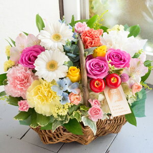 yK[xoXPbg AWgyzyzt[Mtg//LO/a/jyy_yjcƁzyy_jcƁzbZ[WJ[ht/j