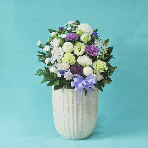 yyzmԂg{̂܂ ԁuAWv t[Mtg ~ V~ ~ ފ  @  ԑ AW ~ V~ ފ  r V~ ybg