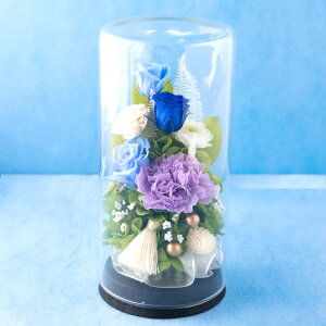 vU[uht[ IׂJ[ waSxyz   y͂ȂMtgԁz d r ybg t[Mtg 蕨 yyΉzFKTPO