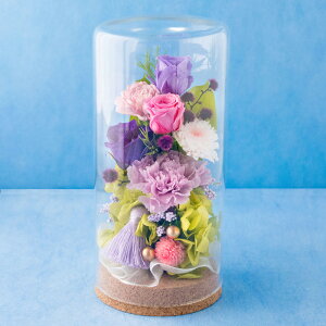 vU[uht[ IׂJ[ waSxyz   y͂ȂMtgԁz d r ybg t[Mtg 蕨 yyΉzFKTPO