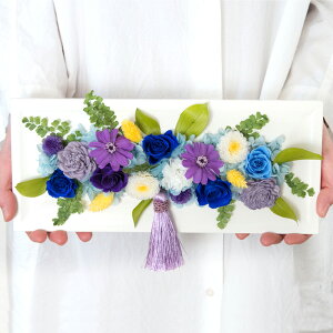 ͂Ȃ t[vU  vU[uht[ z͂ȂMtg    r yMt_ yMt_bZ yΉ y_yjc bZ[WJ[ht