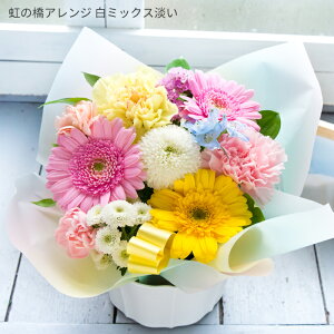 �y�y�b�g��p�z�y�b�g�̂����� ���̋��A�����W�y���������z�t�����[ �� ������ ������ �y�b�g �A�����W�����g/���b�Z�[�W�J�[�h�t���y�y�j�c�Ɓz�y���j�c�Ɓz�yP12Sep14�zFKAA