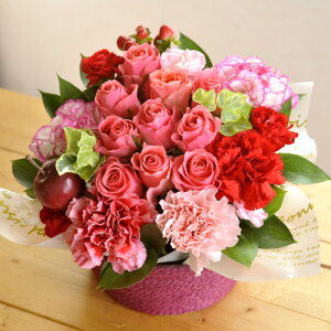 yyz[YK[fAWgyzoyAWgz Mtg  t[ LO ayyΉzbZ[WJ[ht LO j v[