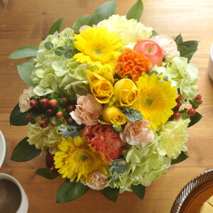 EhAWgyza/LO/t[Mtg/Mtg//v[g/j//ސE/\/a/bZ[WJ[htyyjcƁzyjcƁz FKAA