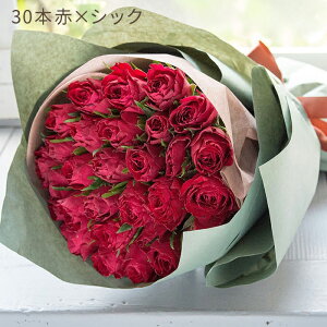 yԑzav[g  ỏԑ 30{j t[Mtg v[g o KN ̓a LO j j oYj  ԑ摜zMΏۊO yz o