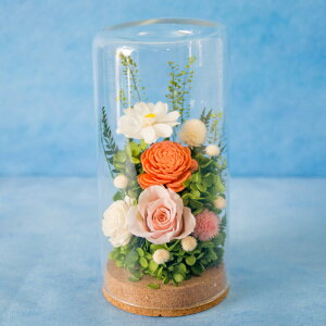 vU[uht[ wxxyz   y͂ȂMtgԁz d r ybg t[Mtg 蕨 yyΉzFKTPO