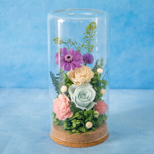 vU[uht[ wxxyz   y͂ȂMtgԁz d r ybg t[Mtg 蕨 yyΉzFKTPO