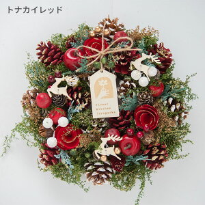 [X MTCY 2025  nEB H NX}X[X  v[g Mtg [X a O   t[[X i`[X A[gt[ hA Ǐ  h