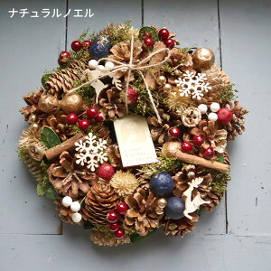 [X MTCY 2025  nEB H NX}X[X  v[g Mtg [X a O   t[[X i`[X A[gt[ hA Ǐ  h