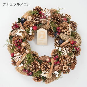 [X LTCY 2025  NX}X[X  v[g Mtg [X a O   t[[X i`[X A[gt[ hA Ǐ  hCt[ t