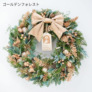 y300~OFFN[|1101:59܂ŁzNX}X[X LTCY 2025  [X  v[g Mtg [X a O   t[[X i`[X A[gt[ hA 