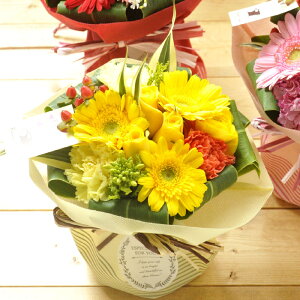 ԑ a  {̃X^fBOu[P FIׂ t[ Mtg v[g  JXj I[vj JƏj ސEj ʉ sv  N  j LO  