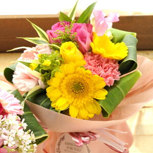 ԑ a  {̃X^fBOu[P FIׂ t[ Mtg v[g  JXj I[vj JƏj ސEj ʉ sv  N  j LO  