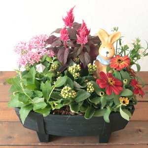 G߂̂Ԃ̊񂹐A ԕc6 ^^ v^[ 񂹐A  Mtg  t   K[fjO A v^[ t[Mtg a JX zj Vzj CeA 